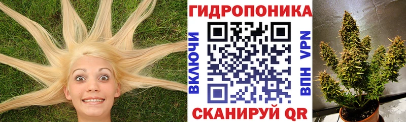 Какие есть наркотики Кировск ЭКСТАЗИ МЕФ Метадон