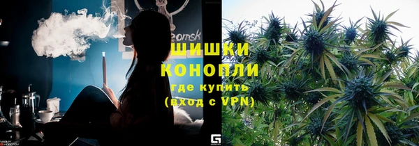 прущие грибы Горнозаводск